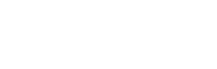 Rootz logo